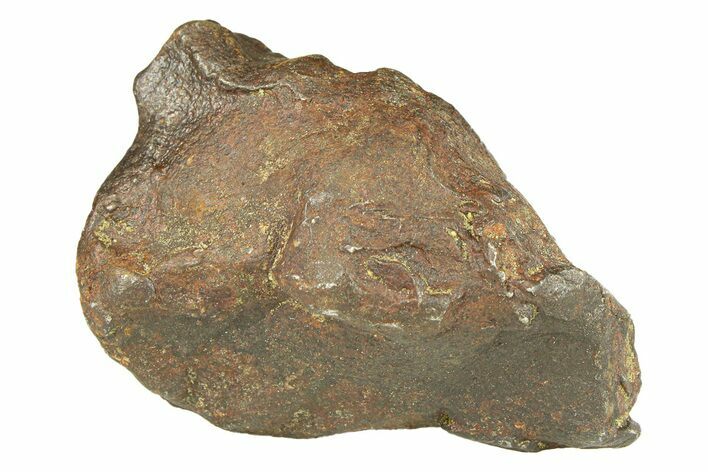 Gebel Kamil Iron Meteorite Fragment ( g) - Egypt #291805